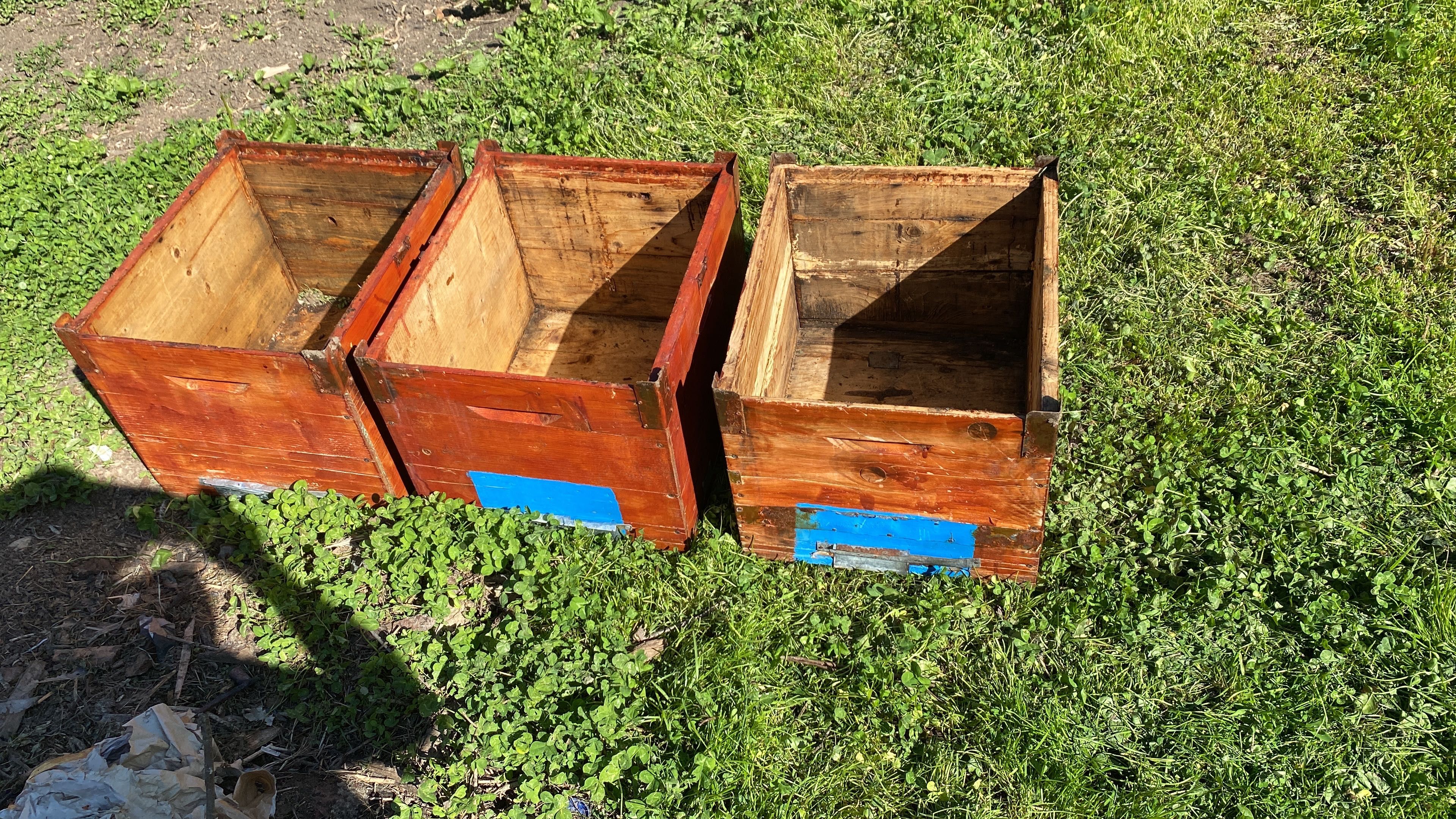 Cutii de stupi pentru albine
