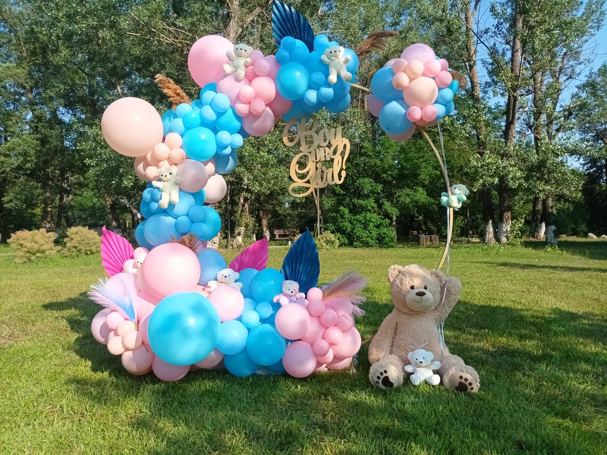 Gender reveal party Arcada baloane/Fumigene Baby shower petrecere