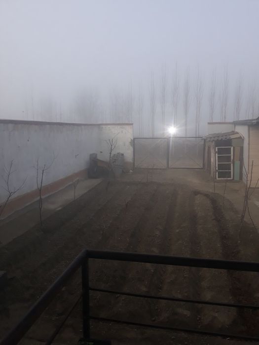 Oltariqda katej srochni sotladi