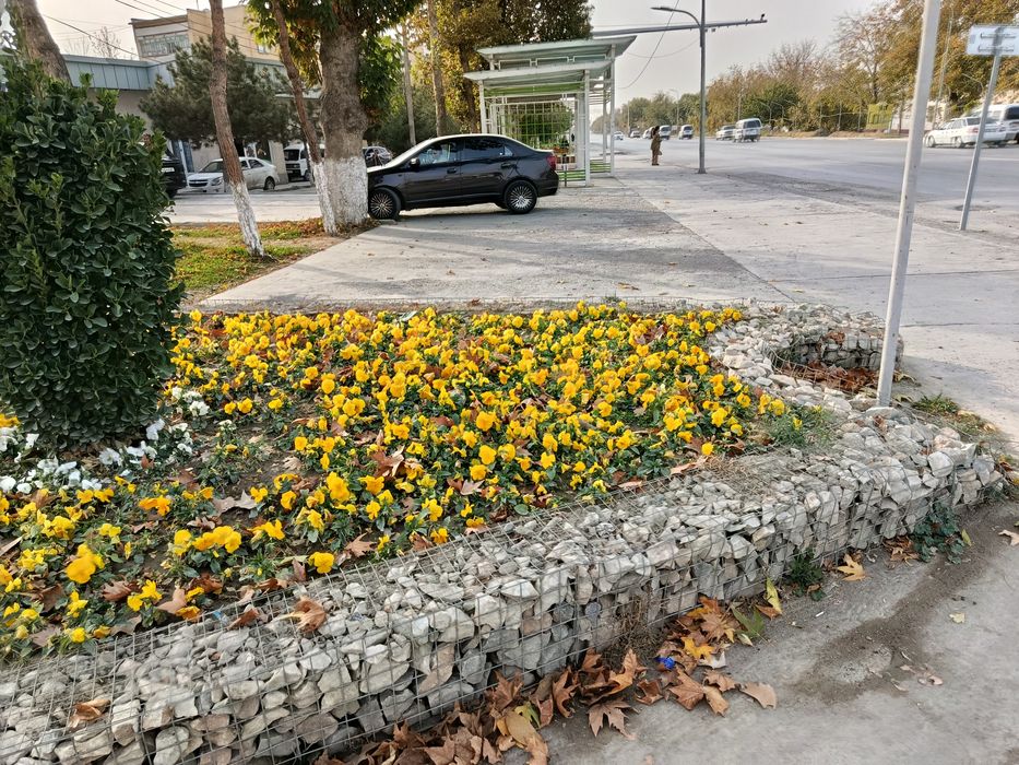 Mashinani xurmat qiladigan odamga beriladi