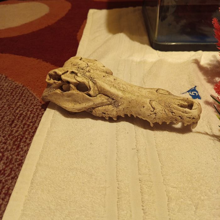 Аквариум 60л+цялостно обурудване