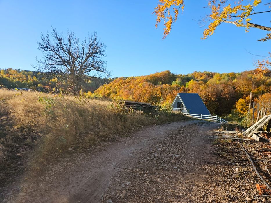Teren intravilan cu toate utilitățile în comuna Damiș,BH