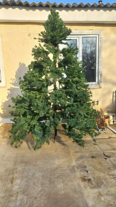 Продвм  елка бу.