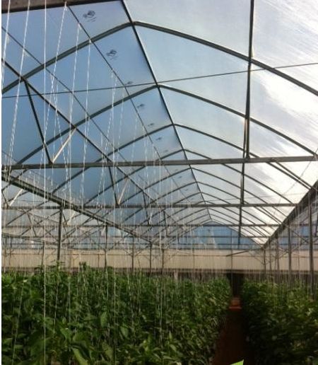 Umbrire culturi/sere/solarii-35% - 4.2x50m-protectie UV