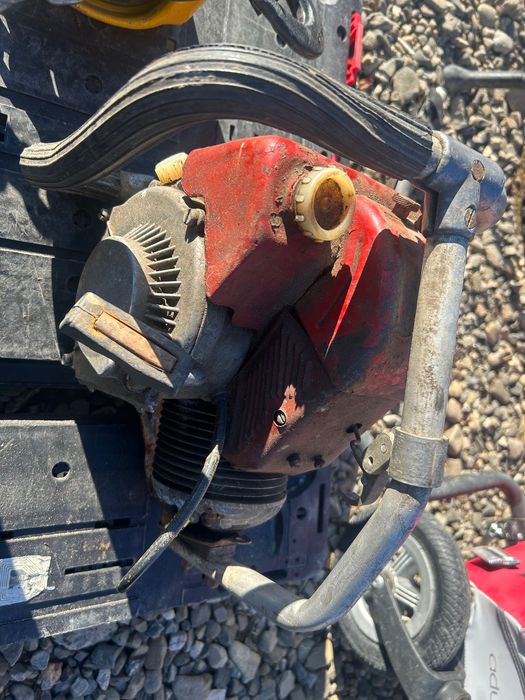 Drujba Retezat foarte veche