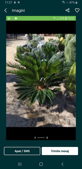 Pentru o gradina de vis nu ezitați sa ne contactați