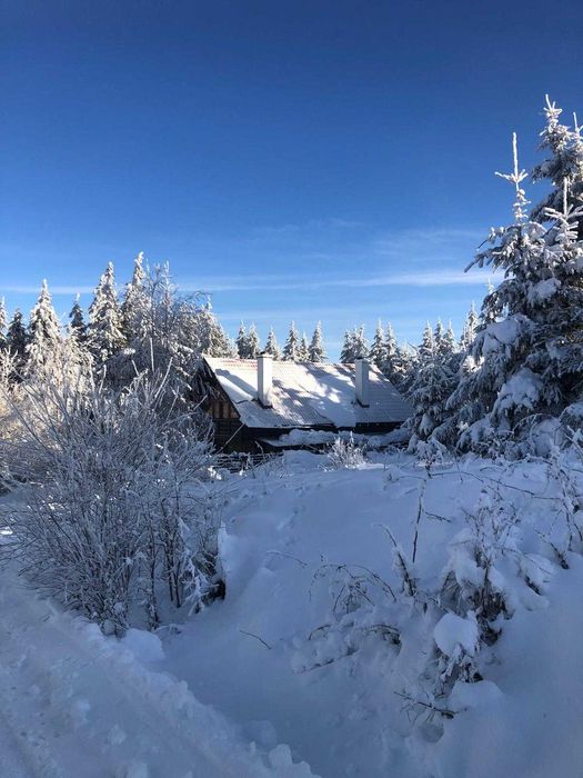 Revelion 2026 la munte