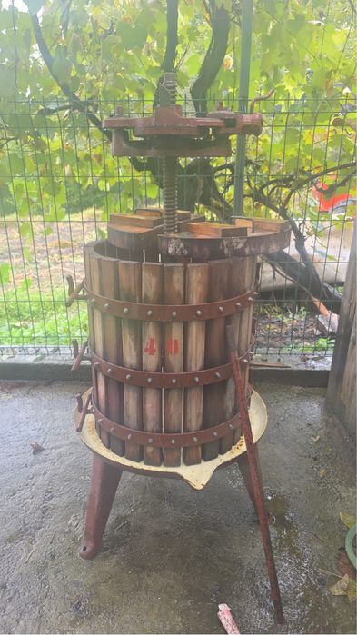 Vand teasc de struguri