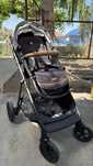 Carucior Joie Signature 2 in 1