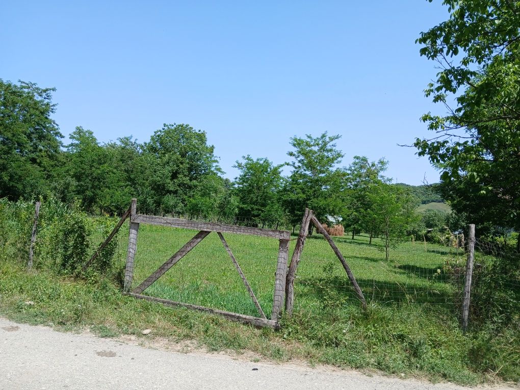 Vând teren la stradă