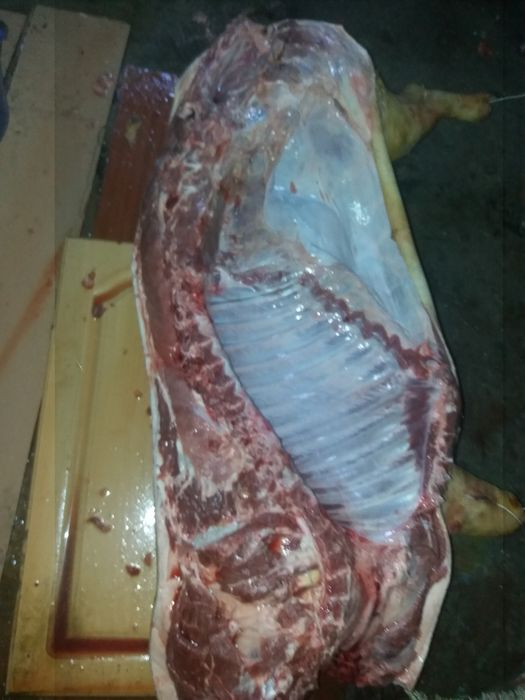 Продам домашних поросят и мясо