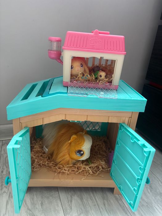 Играчка морско свинче ражда