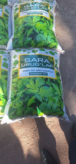 Beda urugʻ sotiladi sifatli
