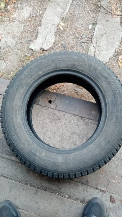 Зимняя резина шипованная