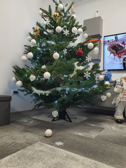 Suport de brad 45-100 mm