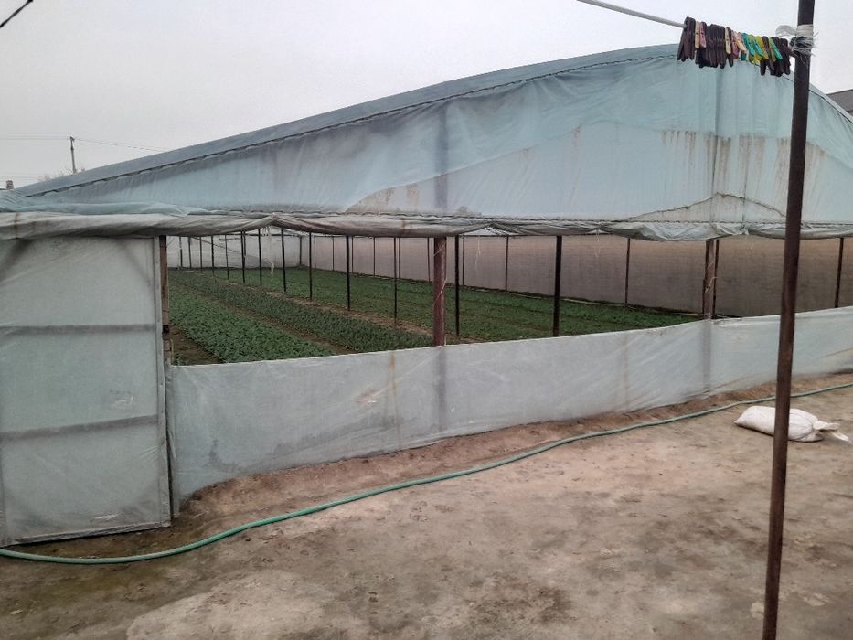 Уй сотилади 8 сотих