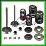 Reparatie Chiuloasa LINHAI 300 275 260 Supape Arcuri Semeringuri