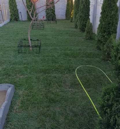 Gazon Rulou Sisteme de irigatii Tuia