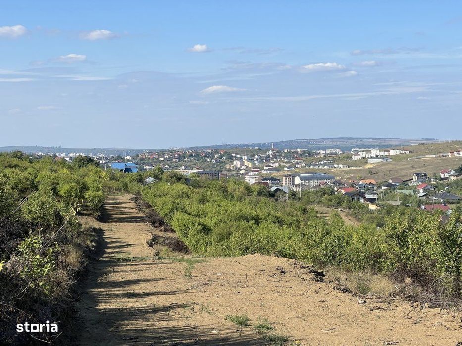 Teren Intravilan, Loturi 619 mp-1124 mp, zona Verde, Visan