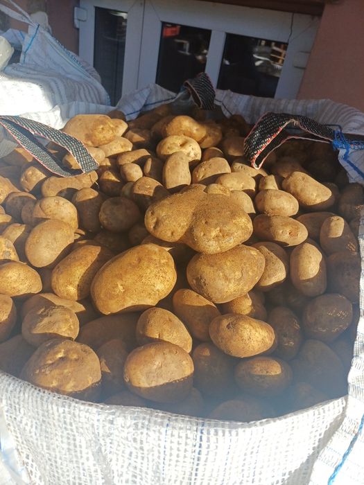 Vand cartof la big bag