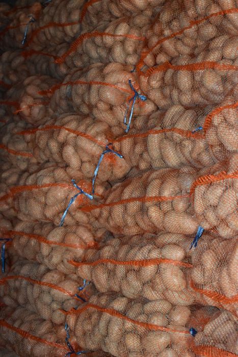 Cartofi de consum albi