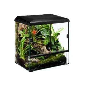 Терариум diversa Vampire crab раци фон червеи субстрат купички