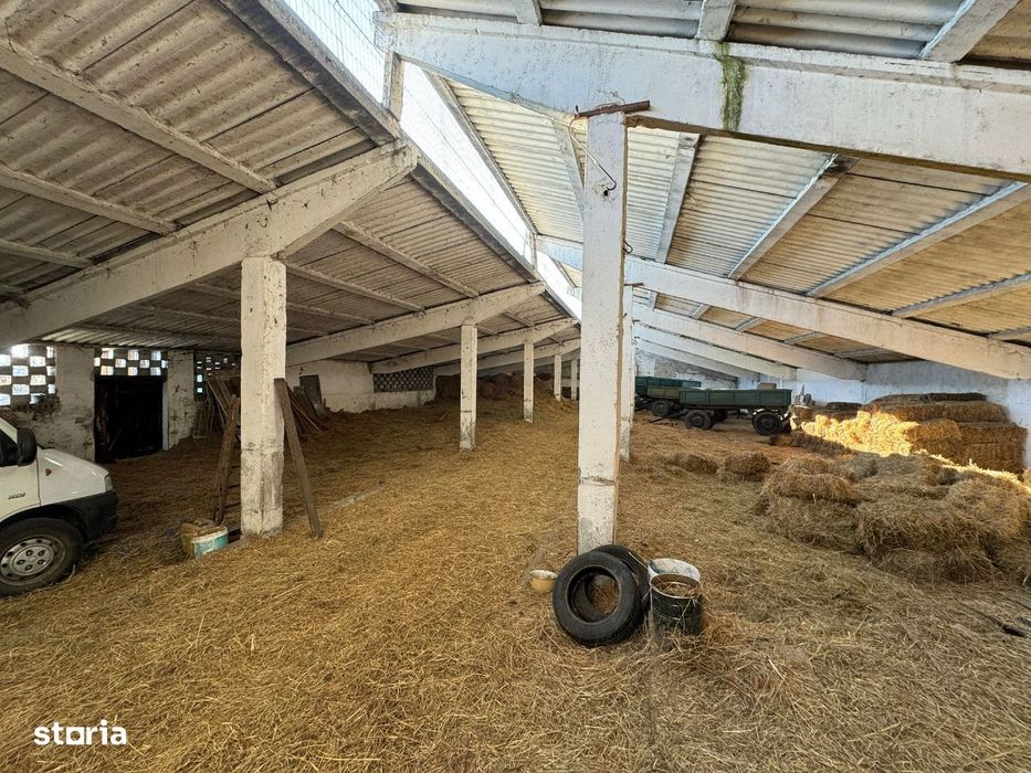 Fermă de Vânzare în Maieruș – Teren de 13.153 mp cu Grajduri și Livadă