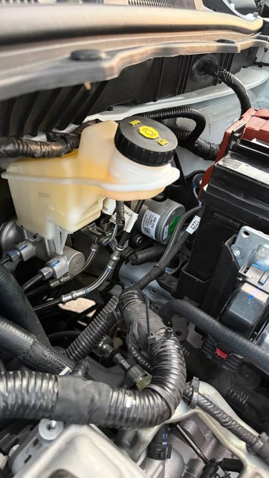 Kobolt stayl mcm salonda turipti yangi pachka