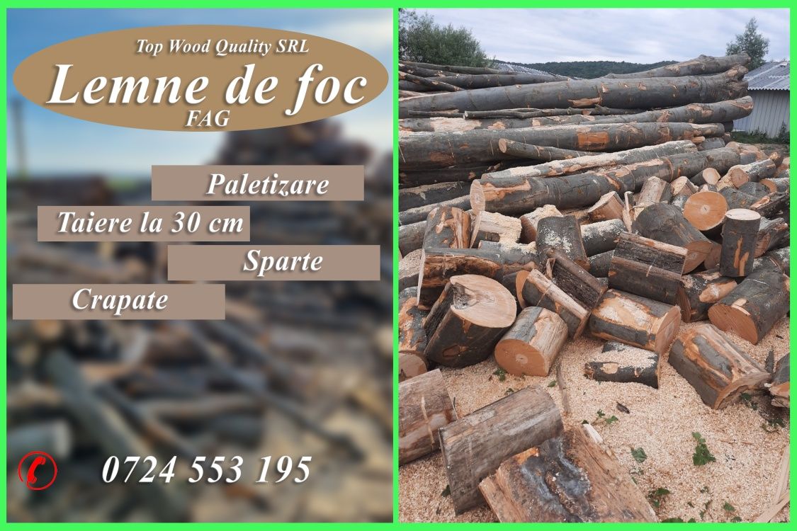 Lemne de foc fag paletizate  sparte