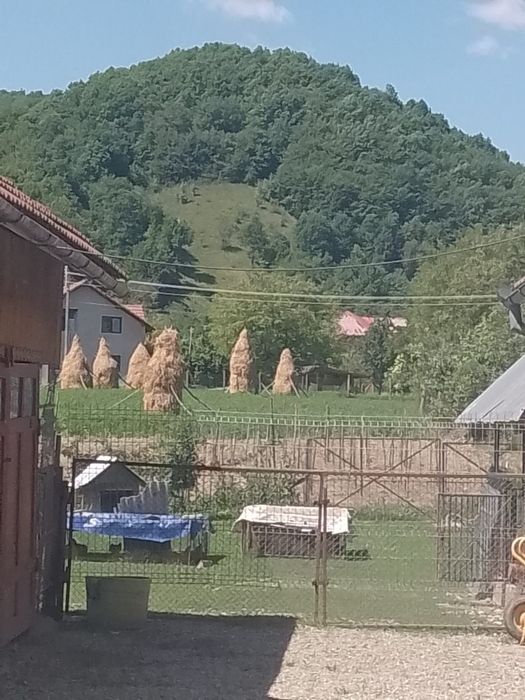 Casă de vânzare în Poiana Blenchii