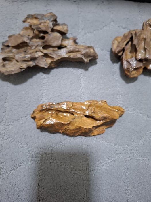 Камень драконий. Dragon stone