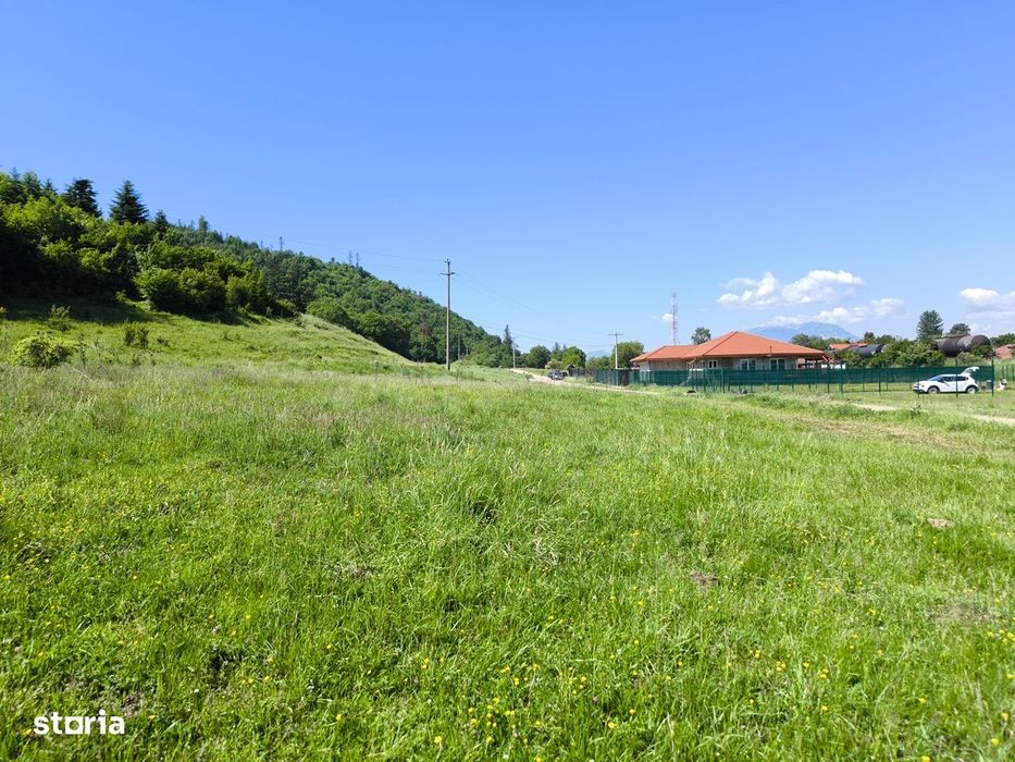 Teren intravilan de vânzare 2.000 mp, Cristian - Brașov.