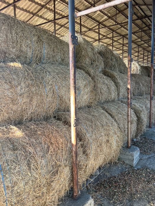 Vand baloti de lucerna