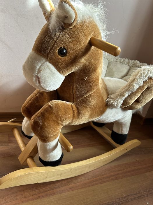 Люлеещо се конче