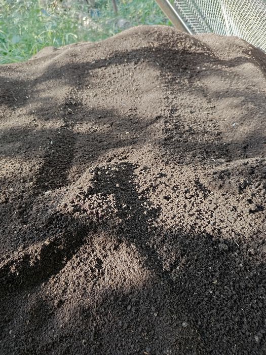 Biyoʻgoʻms bor    Yangiyoʻl 2-kalelin