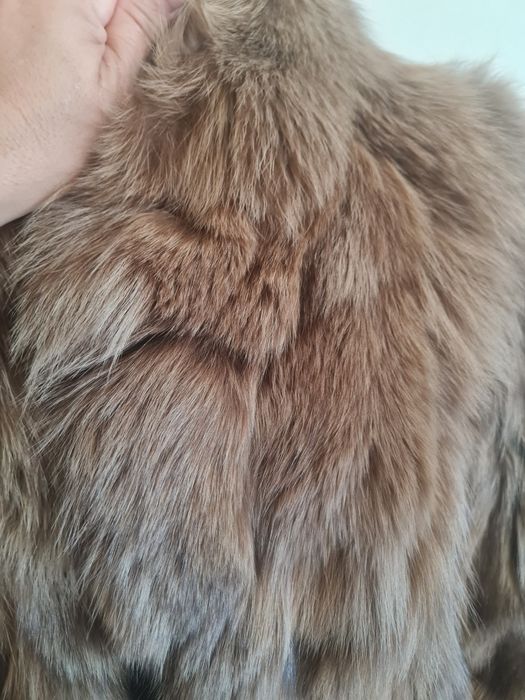 Blana naturala vulpe