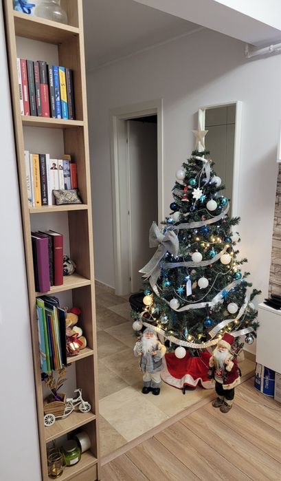 Studio 40 mp cu 2 camere