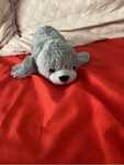 Foca de plus.