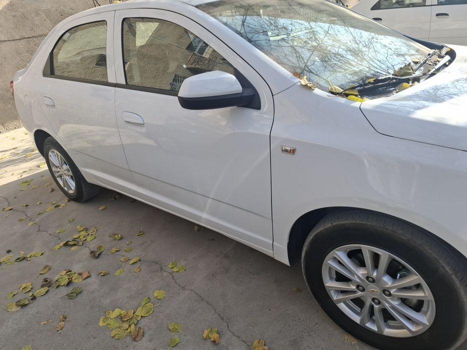 Продам кобиль 2022 викубга бераман