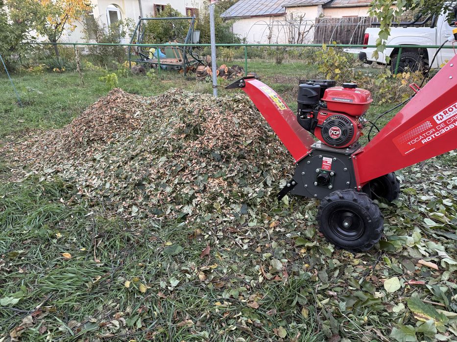 Tăieri /cosmetizare pomi fructiferi !