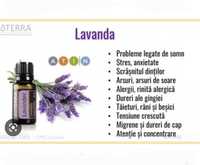 Lavanda ulei esențial Lavander