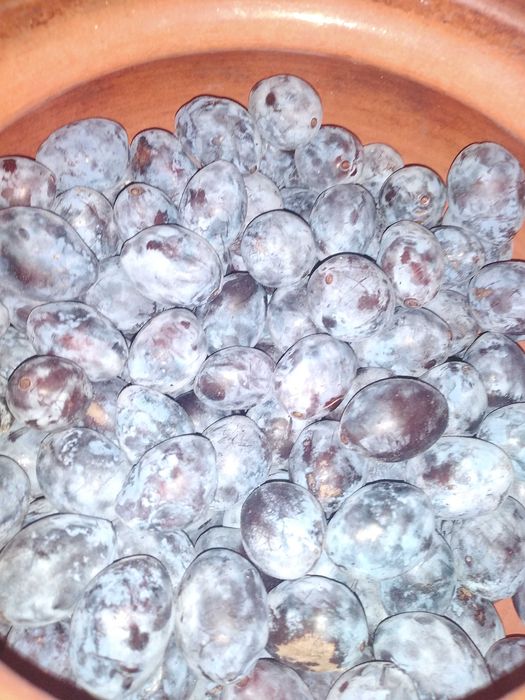 Dulceata prune REAL BISTRITENE, nu din pomi hibrizi de acum