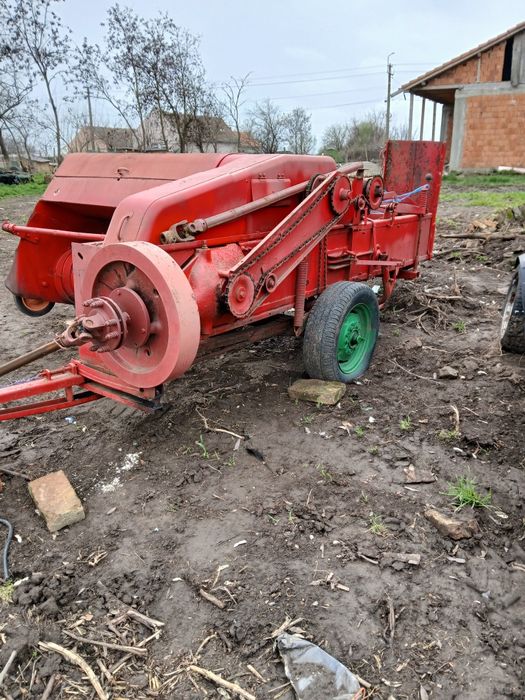 Vând o iapa bună de rasă