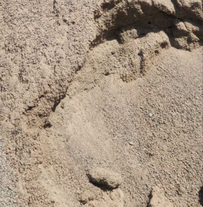 Продам песок объем 5000