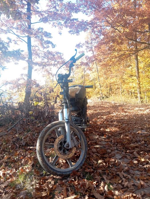 Scuter Piaggio free 49cc