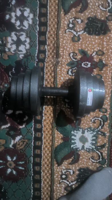 1ta gantel yangi