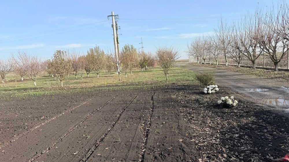 Teren non-agricol 5000 mp