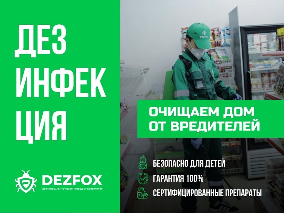 Дезинфекция Дезинсекция Дератизация Уничтожение Насекомых Крыс Блох