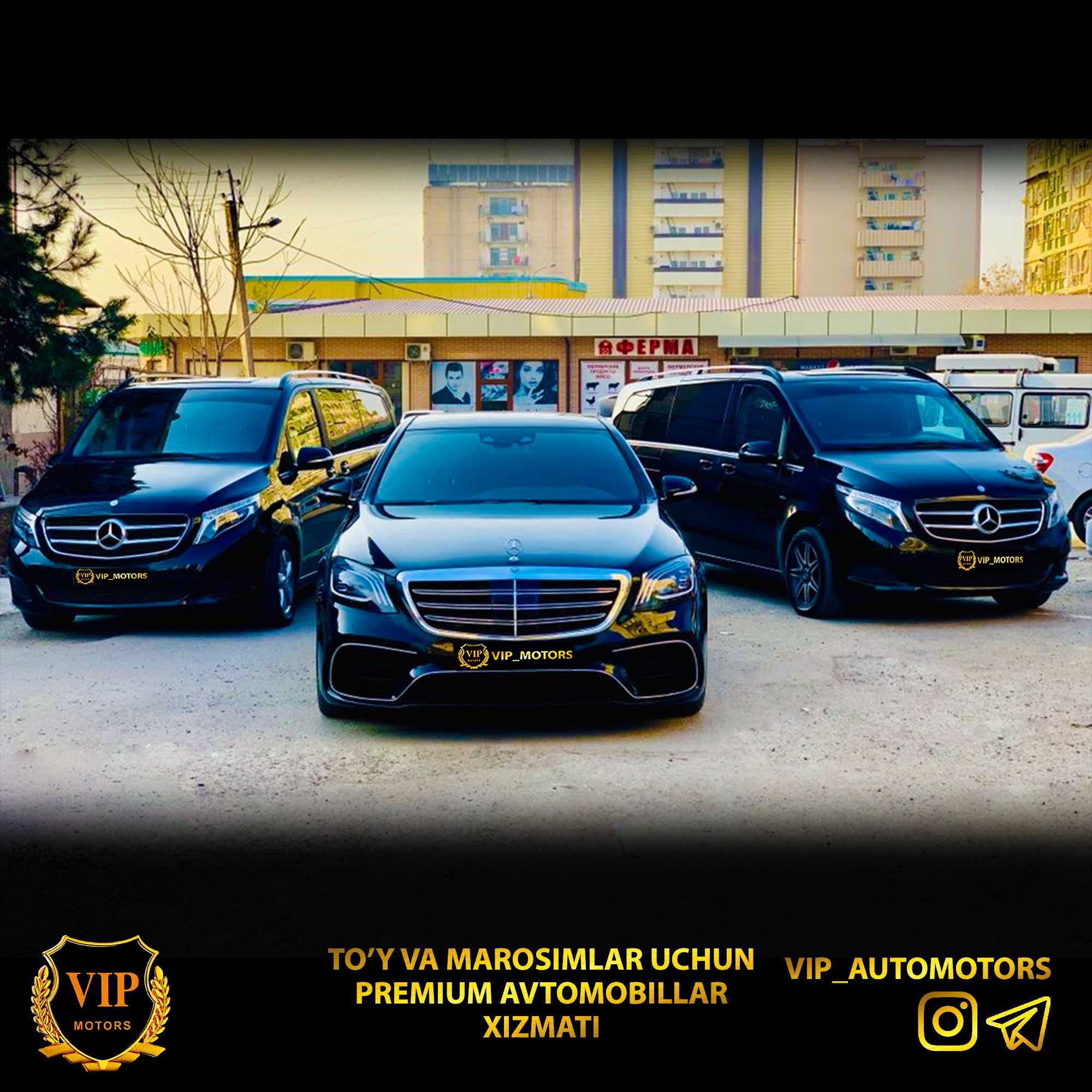 Kartej mercedes s class 222, 223. V class Vito,Viano toy,raddom,turizm