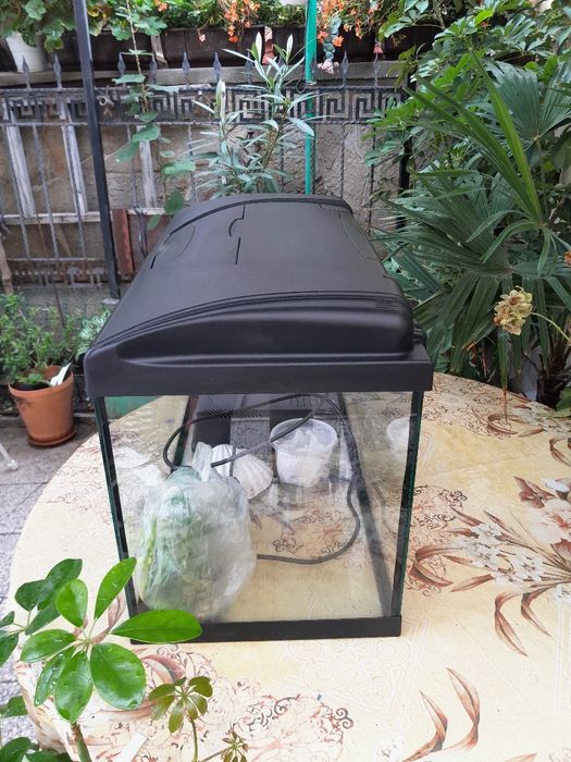 Аквариум Ferplast Capri 60 литра